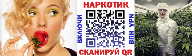 Купить наркотик аптеки Михайловск гидра сайт Кокаин СК МЕФ Бошки Шишки
