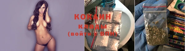 гашик Осинники