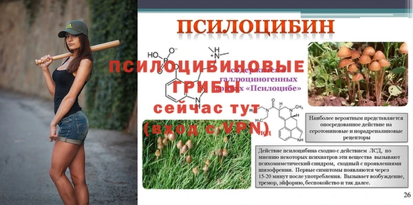 прущий лед Алексеевка
