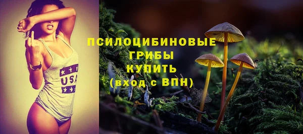 прущий лед Алексеевка