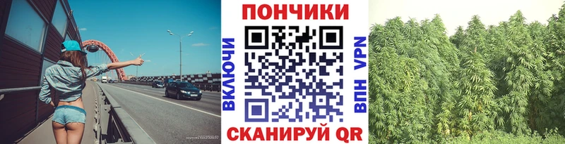 магазин  наркотиков  Михайловск  Бошки марихуана сатива 